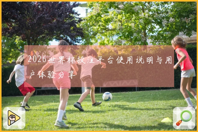2026世界杯投注平台使用说明与用户体验分享