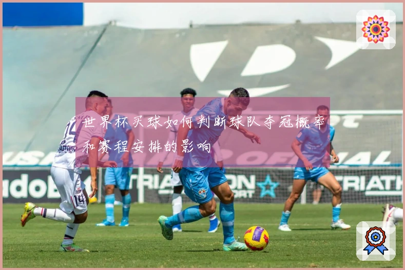 世界杯买球如何判断球队夺冠概率和赛程安排的影响