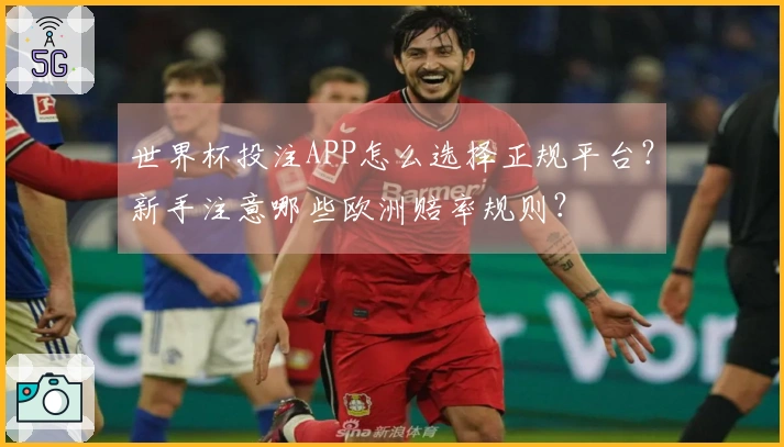 世界杯投注APP怎么选择正规平台？新手注意哪些欧洲赔率规则？