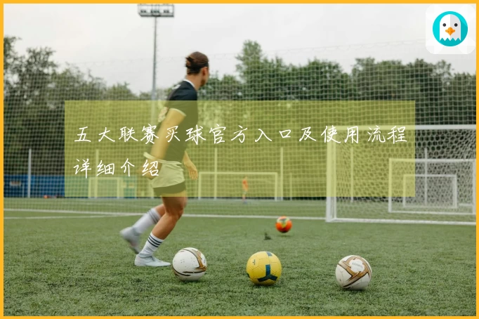 五大联赛买球官方入口及使用流程详细介绍