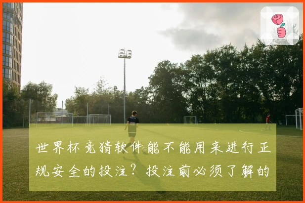 世界杯竞猜软件能不能用来进行正规安全的投注？投注前必须了解的准备清单