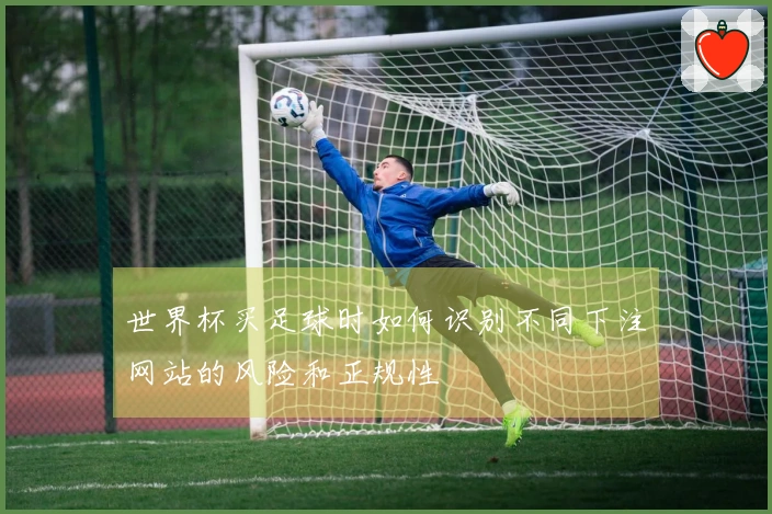 世界杯买足球时如何识别不同下注网站的风险和正规性