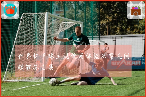世界杯买球主站使用体验及常见问题解答合集