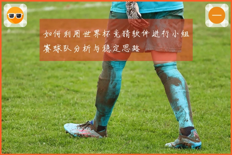 如何利用世界杯竞猜软件进行小组赛球队分析与稳定思路