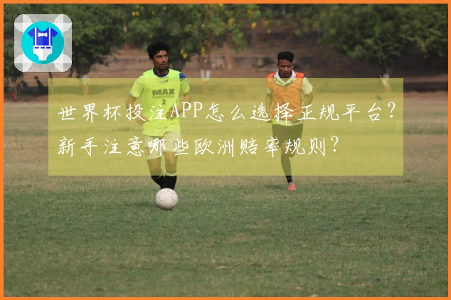 世界杯投注APP怎么选择正规平台？新手注意哪些欧洲赔率规则？