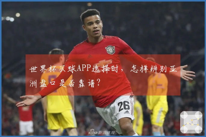 世界杯买球APP选择时，怎样辨别亚洲盘口是否靠谱？