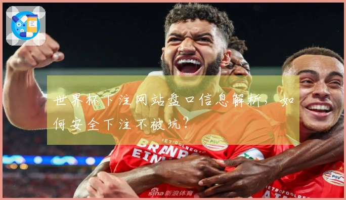世界杯下注网站盘口信息解析，如何安全下注不被坑？