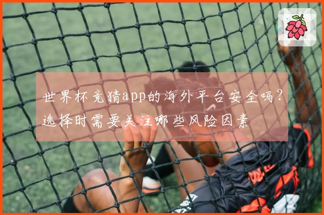 世界杯竞猜app的海外平台安全吗？选择时需要关注哪些风险因素