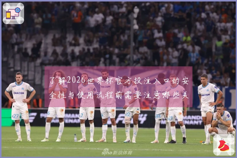 了解2026世界杯官方投注入口的安全性与使用流程前需要注意哪些关键事项