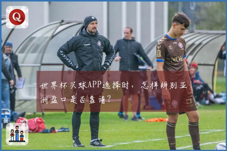 世界杯买球APP选择时，怎样辨别亚洲盘口是否靠谱？