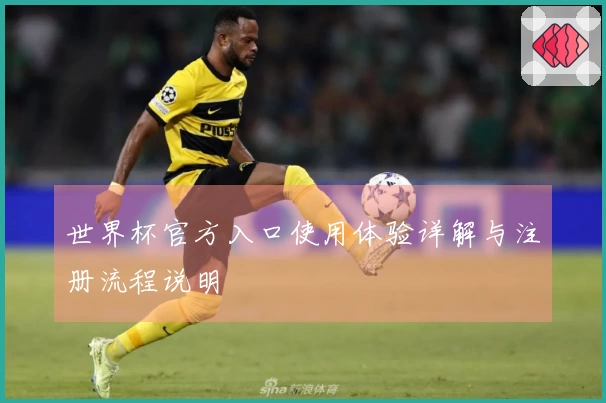 世界杯官方入口使用体验详解与注册流程说明