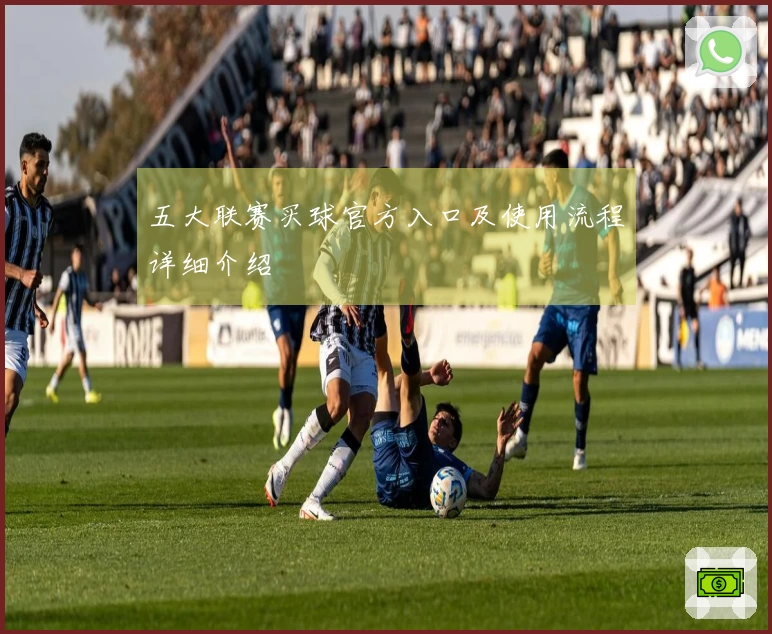 五大联赛买球官方入口及使用流程详细介绍
