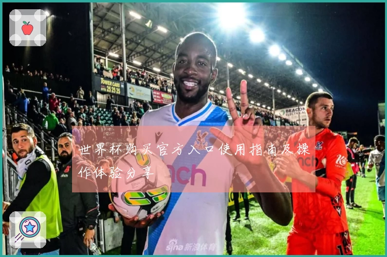 世界杯购买官方入口使用指南及操作体验分享