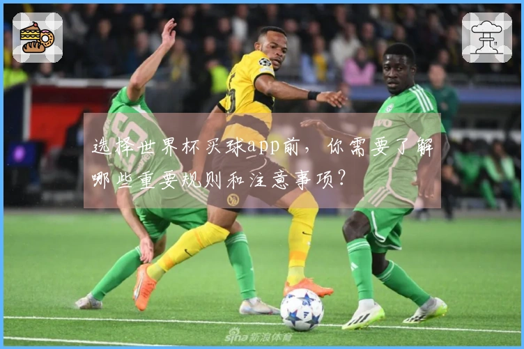 选择世界杯买球app前，你需要了解哪些重要规则和注意事项？