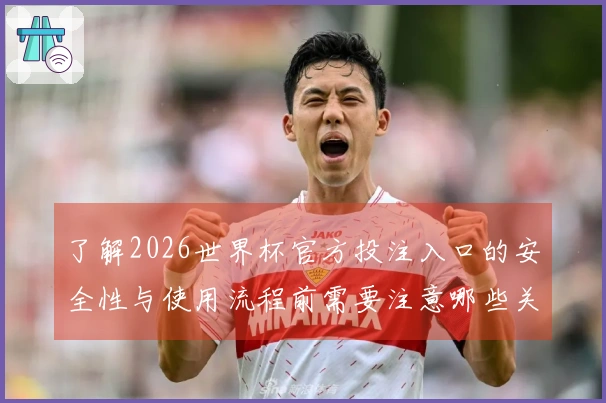了解2026世界杯官方投注入口的安全性与使用流程前需要注意哪些关键事项