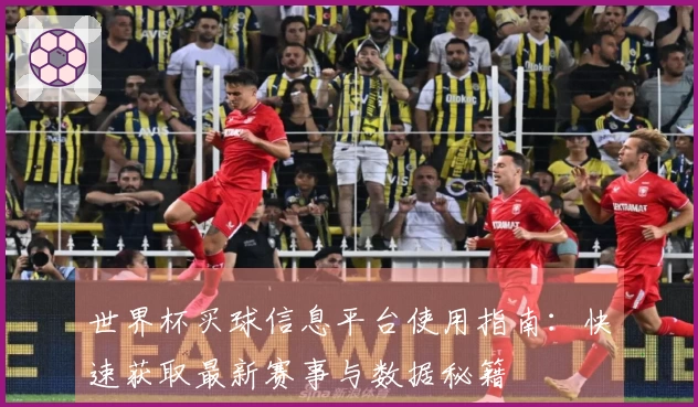 世界杯买球信息平台使用指南：快速获取最新赛事与数据秘籍