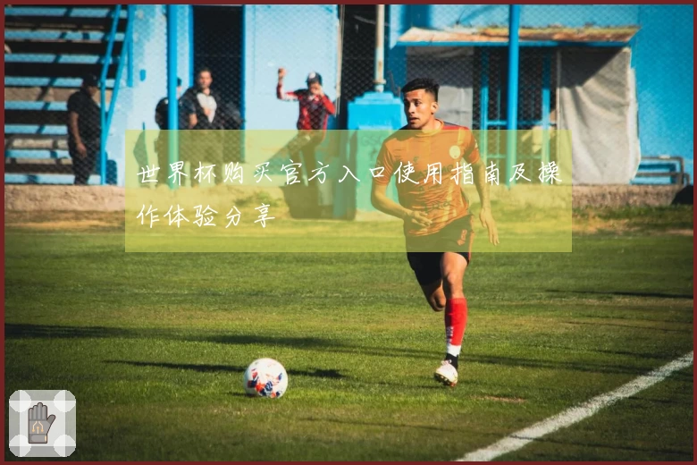 世界杯购买官方入口使用指南及操作体验分享